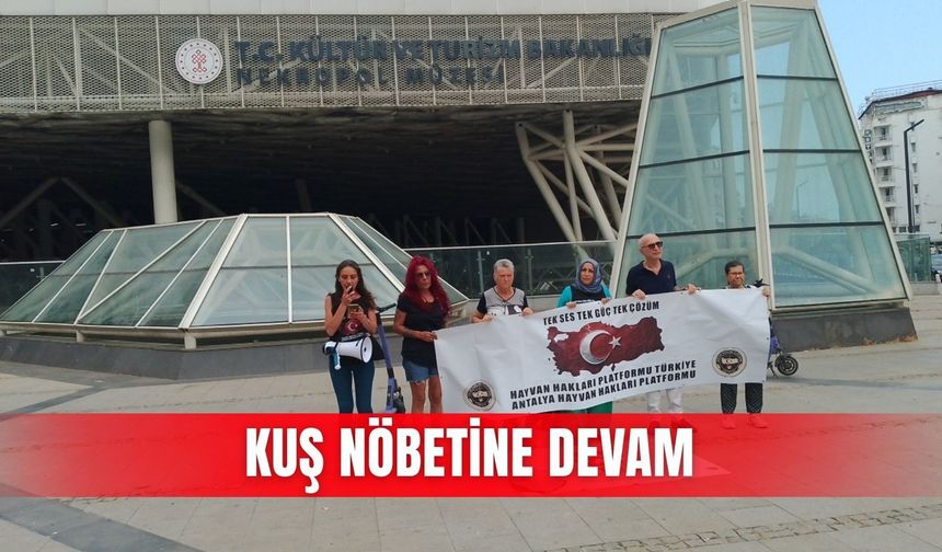 Kuş nöbetine devam