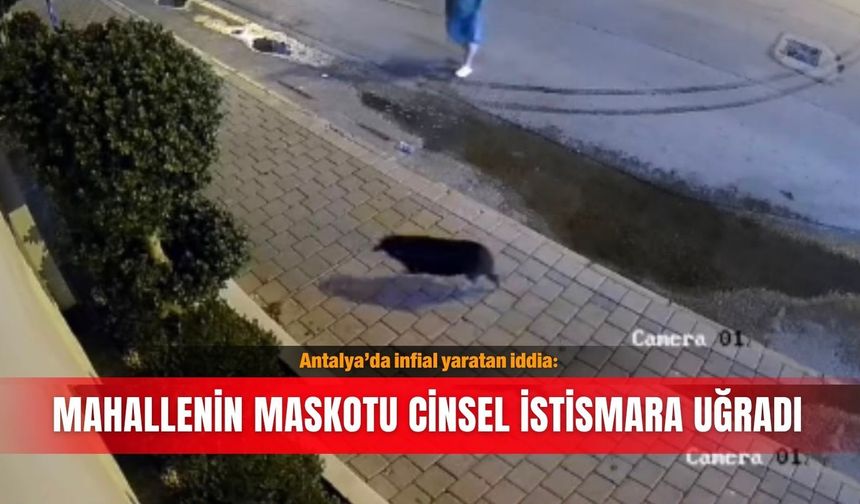 Antalya’da infial yaratan iddia: Mahallenin maskotu cinsel istismara uğradı