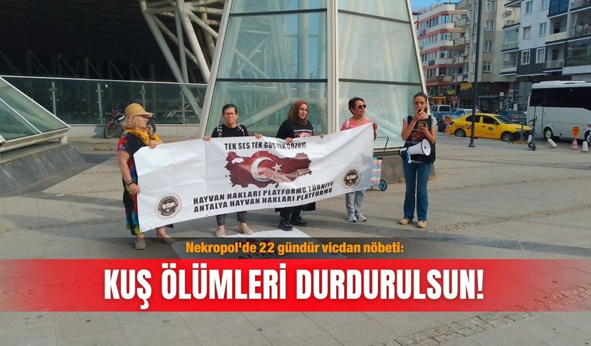 Nekropol'de 22 gündür vicdan nöbeti: Kuş ölümleri durdurulsun!