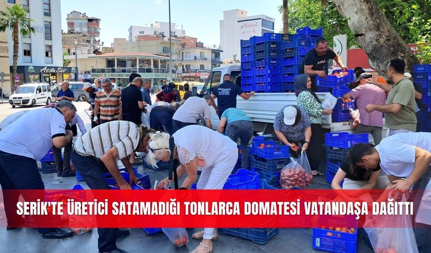 Serik'te üretici satamadığı tonlarca domatesi vatandaşa dağıttı