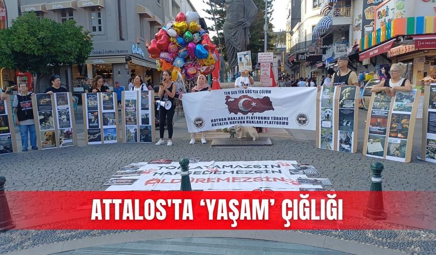 Attalos'ta ‘yaşam’ çığlığı