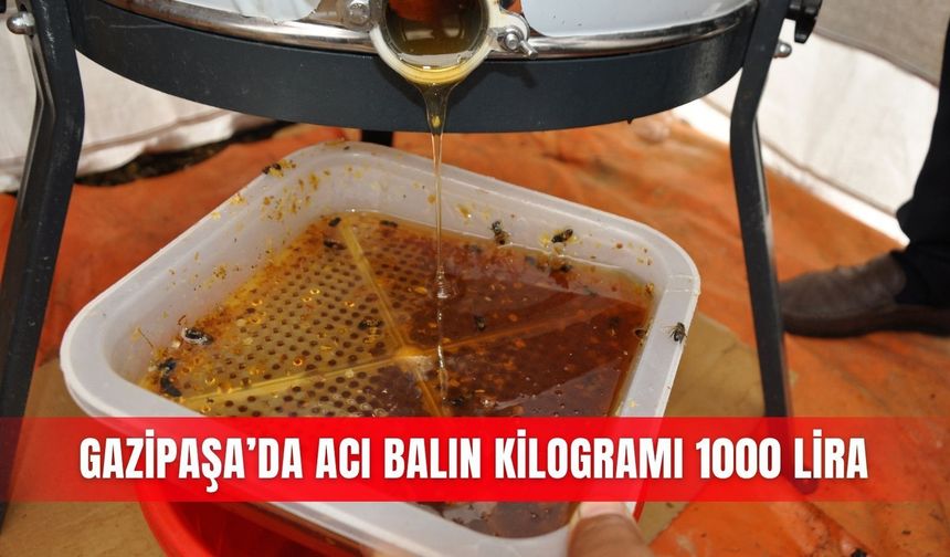Gazipaşa’da acı balın kilogramı 1000 lira