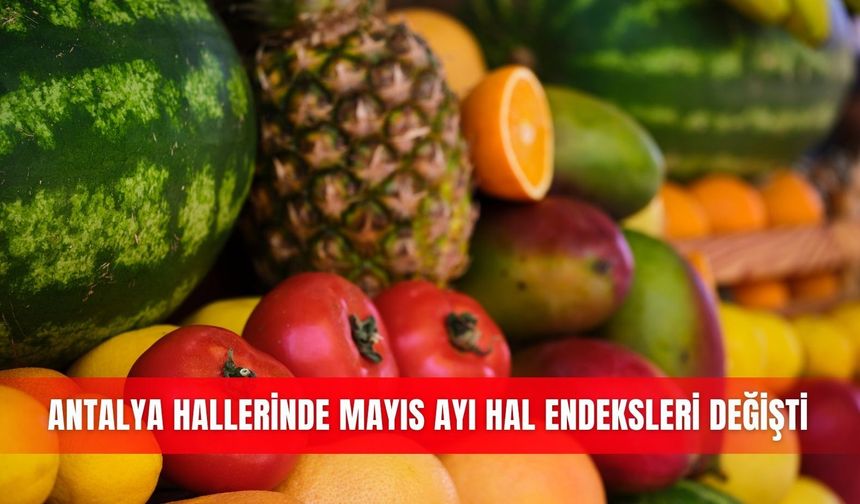 Antalya hallerinde mayıs ayı hal endeksleri değişti