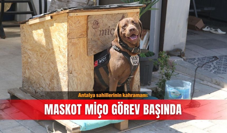 Antalya sahillerinin kahramanı: Maskot Miço görev başında
