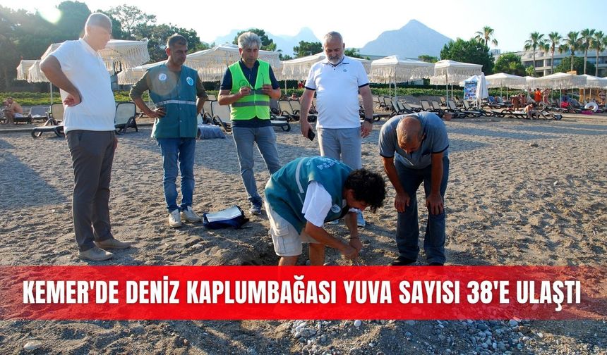 Kemer'de deniz kaplumbağası yuva sayısı 38'e ulaştı
