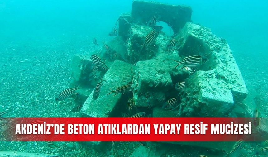Akdeniz’de beton atıklardan yapay resif mucizesi