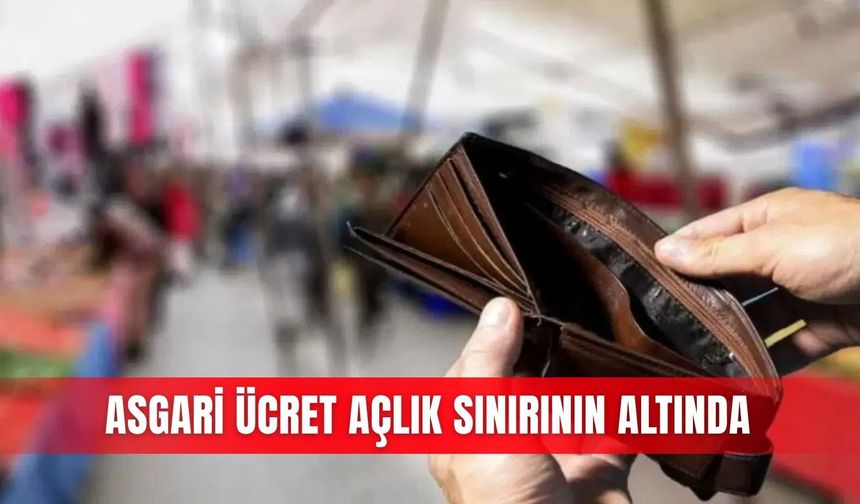 Asgari ücret açlık sınırının altında