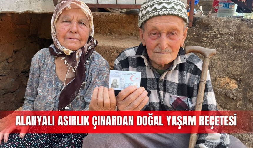Alanyalı asırlık çınardan doğal yaşam reçetesi