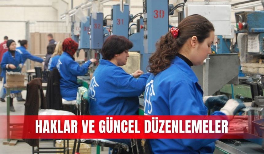 Haklar ve güncel düzenlemeler