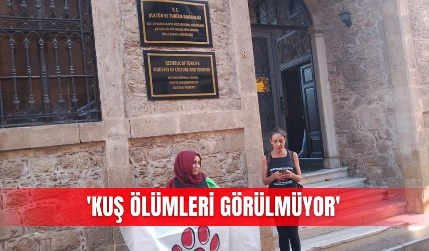 'Kuş ölümleri görülmüyor'