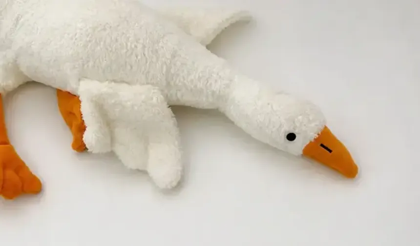 Bakanlıktan 'peluş kaz' oyuncağına yasak ve toplatma kararı