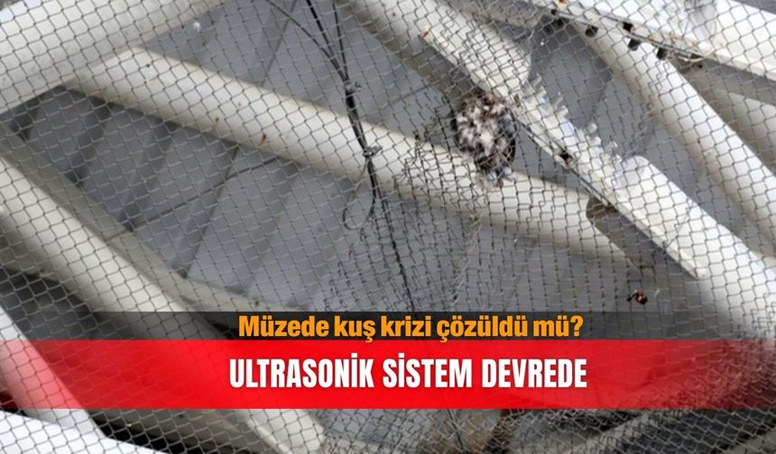 Müzede kuş krizi çözüldü mü? Ultrasonik sistem devrede