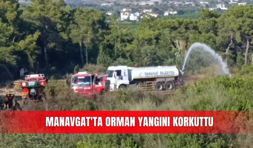 Manavgat'ta orman yangını korkuttu