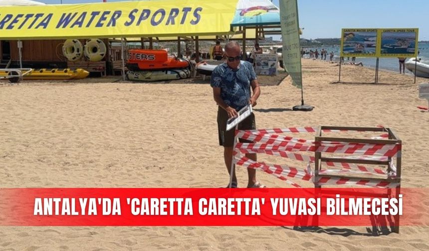 Antalya'da 'caretta caretta' yuvası bilmecesi