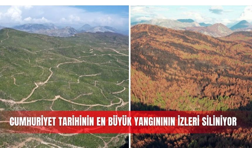 Cumhuriyet tarihinin en büyük yangınının izleri siliniyor