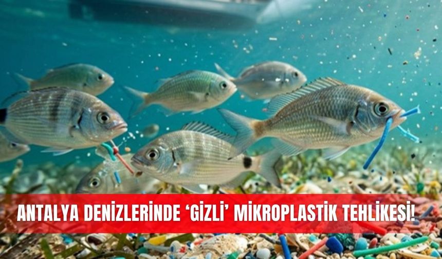 Antalya denizlerinde ‘gizli’ mikroplastik tehlikesi!