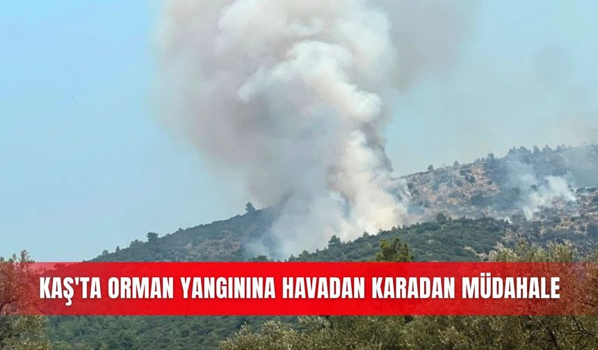 Kaş'ta orman yangınına havadan karadan müdahale