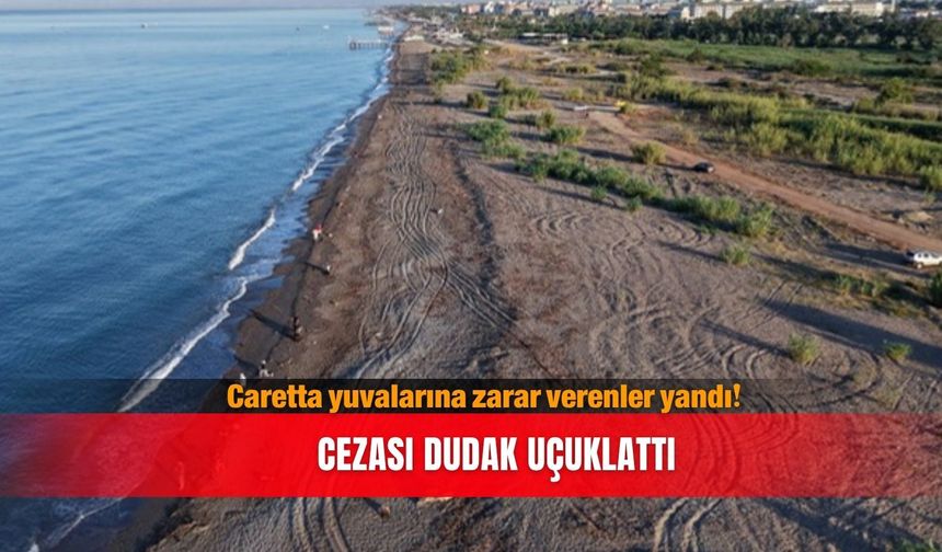 Caretta yuvalarına zarar verenler yandı! Cezası dudak uçuklattı