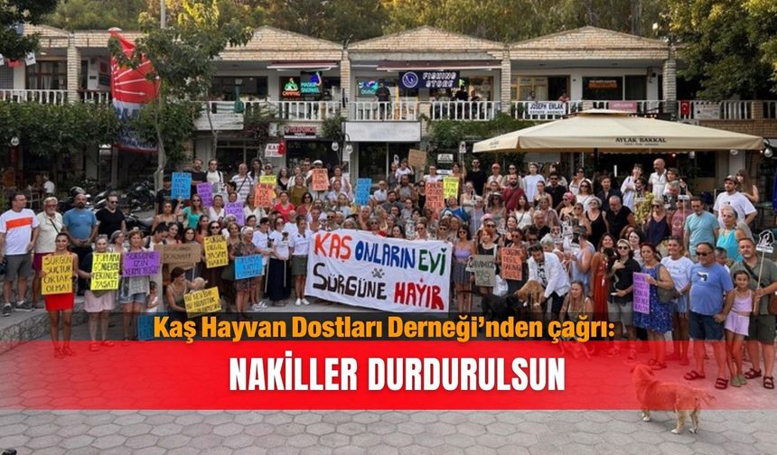 Kaş Hayvan Dostları Derneği’nden çağrı: Nakiller durdurulsun