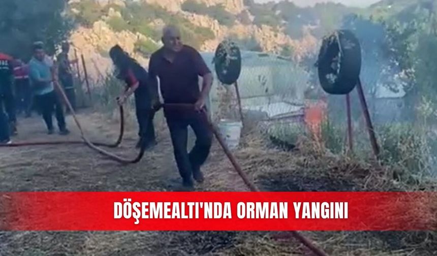Döşemealtı'nda orman yangını