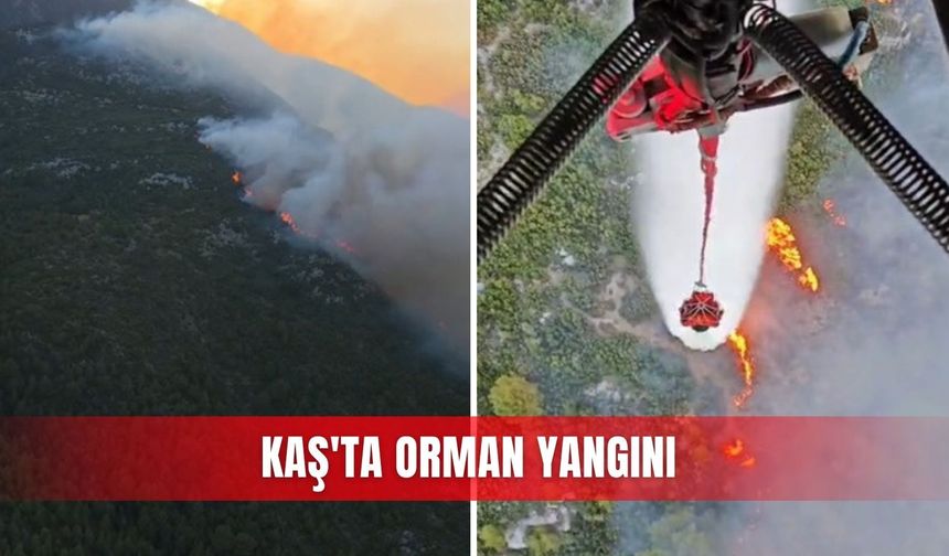 Kaş'ta orman yangını