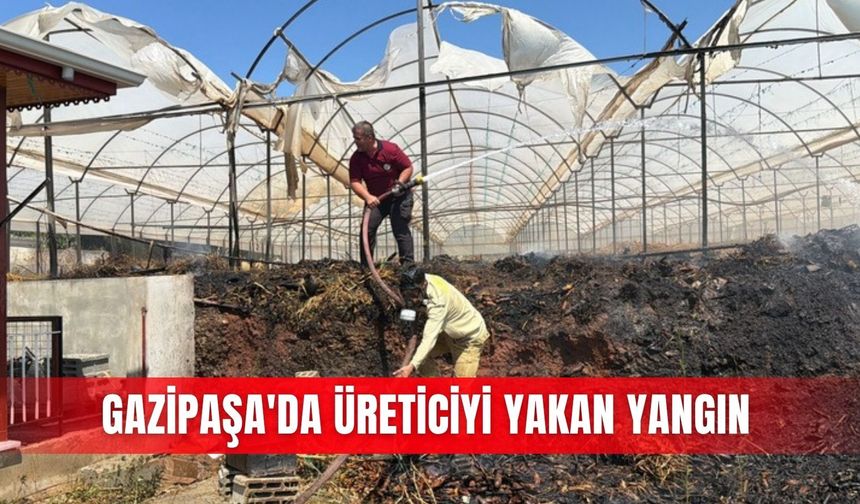 Gazipaşa'da üreticiyi yakan yangın