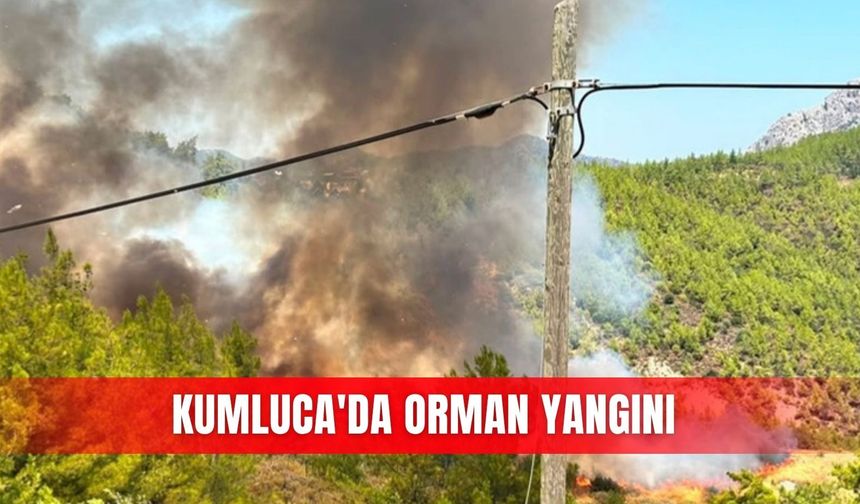 Kumluca'da orman yangını