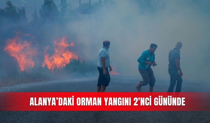 Alanya'daki orman yangını 2'nci gününde