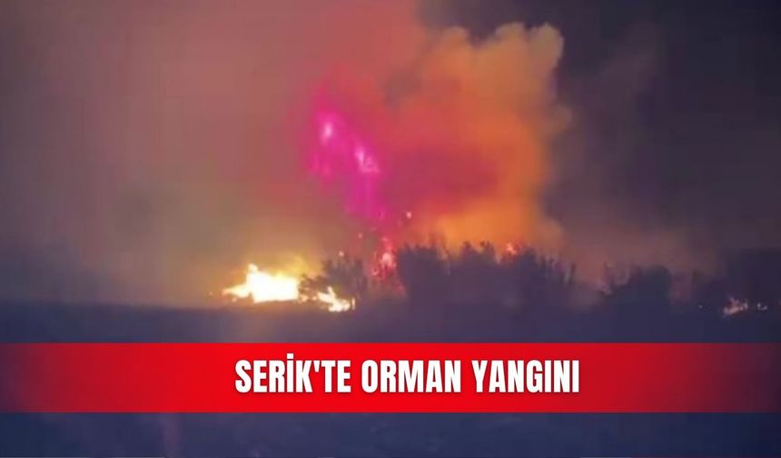 Serik'te orman yangını