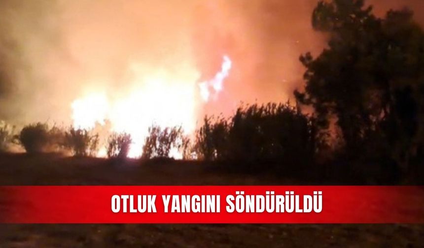 Otluk yangını söndürüldü