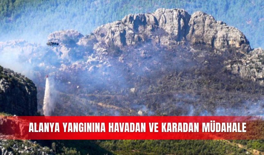Alanya yangınına havadan ve karadan müdahale