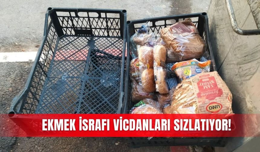 Ekmek israfı vicdanları sızlatıyor!