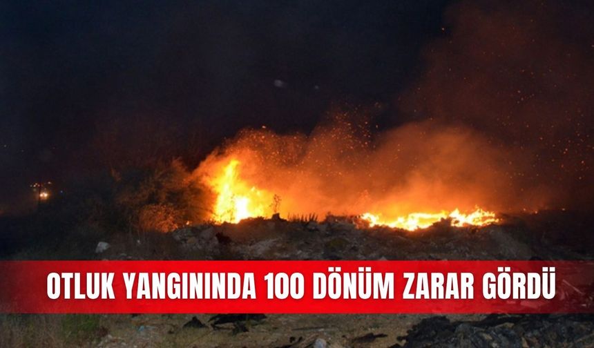 Otluk yangınında 100 dönüm zarar gördü