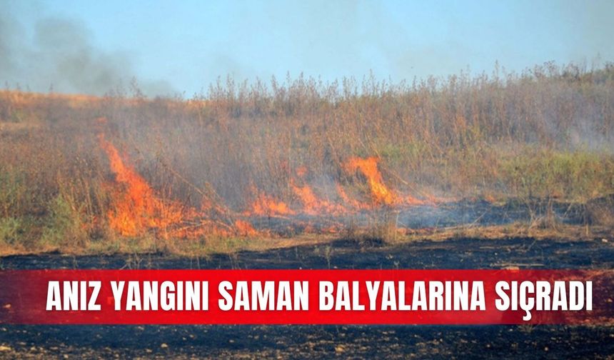 Anız yangını saman balyalarına sıçradı