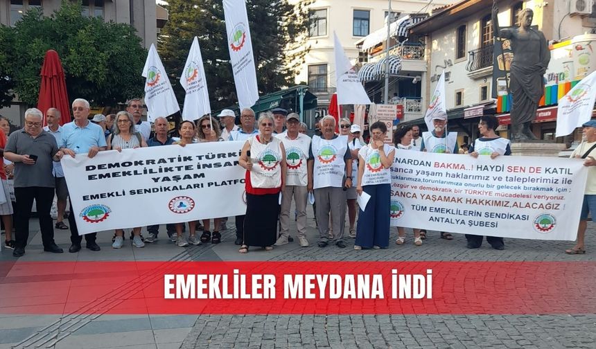Emekliler meydana indi