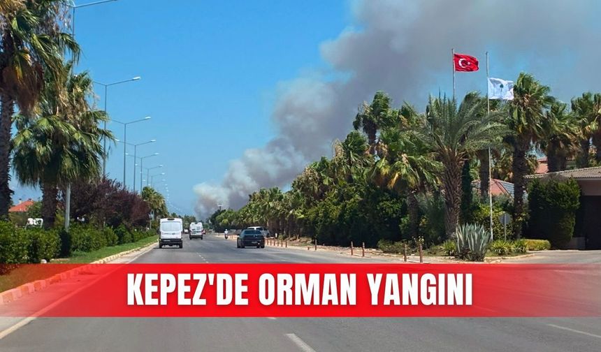 Kepez'de orman yangını
