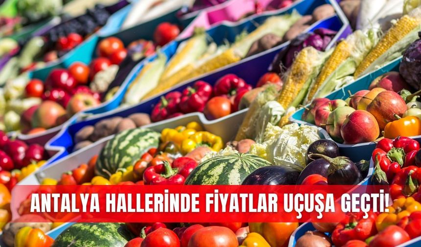 Antalya hallerinde fiyatlar uçuşa geçti!