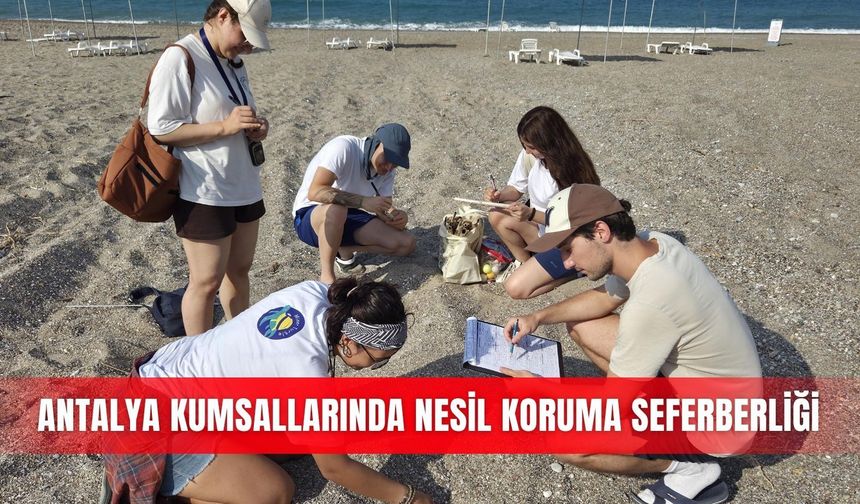 Antalya kumsallarında nesil koruma seferberliği