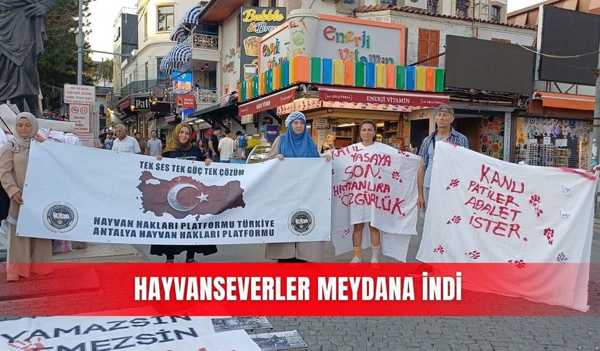 Hayvanseverler meydana indi