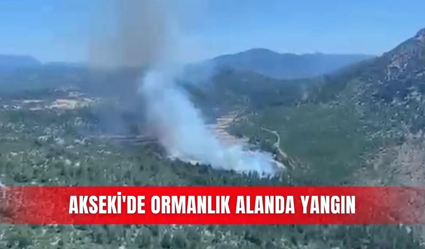 Akseki'de ormanlık alanda yangın