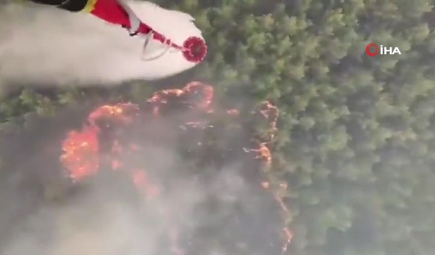 Tarım ve Orman Bakanlığı: Muğla’daki orman yangınına 5 uçak ve 18 helikopterle müdahale sürüyor