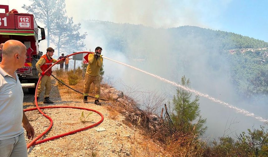 Antalya- Alanya'daki orman yangını kontrol altına alındı; 5 dönüm orman zarar gördü