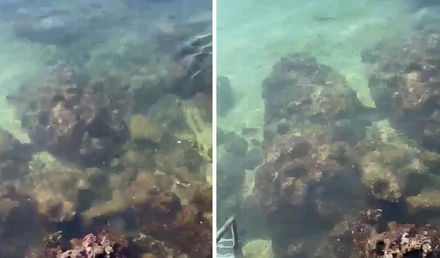 Kaş'ta denize atık su karışmasına 839 bin lira ceza