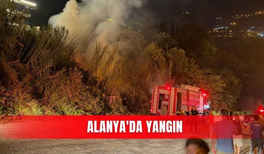 Alanya'da yangın