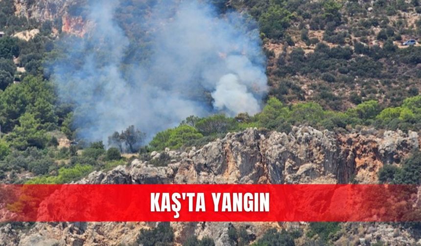 Kaş'ta yangın