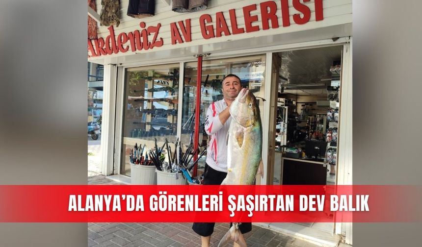 Alanya’da görenleri şaşırtan dev balık