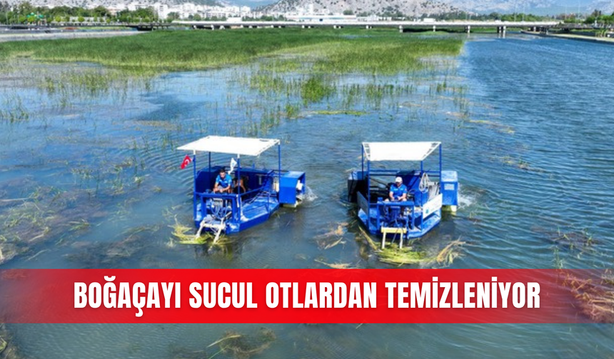 Boğaçayı sucul otlardan temizleniyor