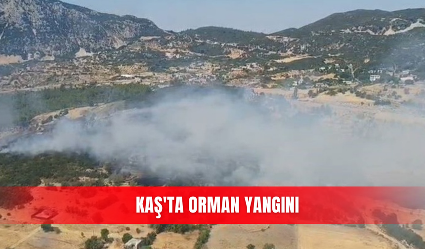 Kaş'ta orman yangını