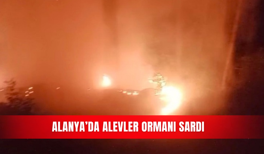 Alanya’da alevler ormanı sardı