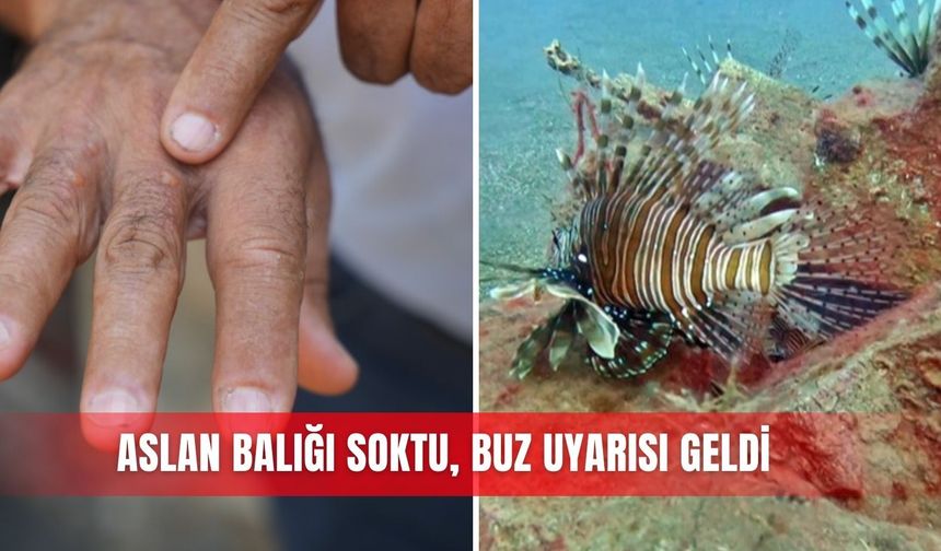 Aslan balığı soktu, buz uyarısı geldi